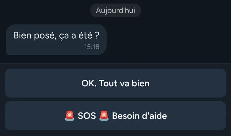Le bot demande : « Bien posé, ça a été ? » avec les boutons « OK. Tout va bien » et « SOS Besoin d'aide »